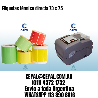 Etiquetas térmica directa 73 x 75