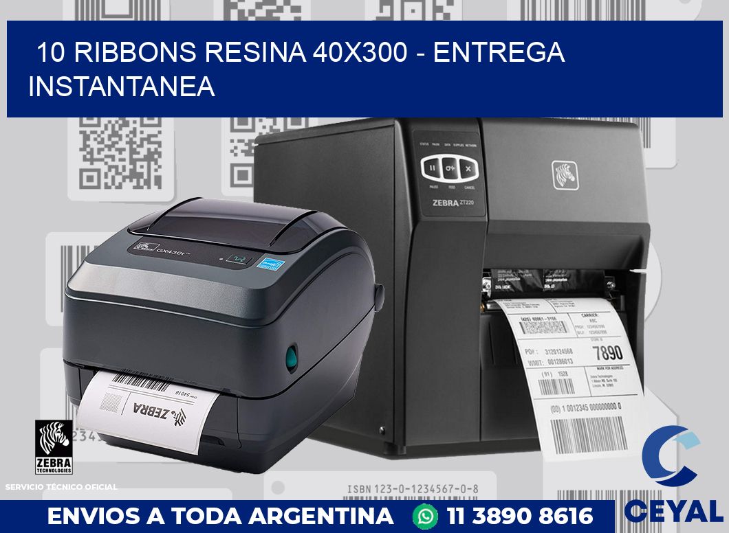 10 Ribbons resina 40x300 - entrega instantanea