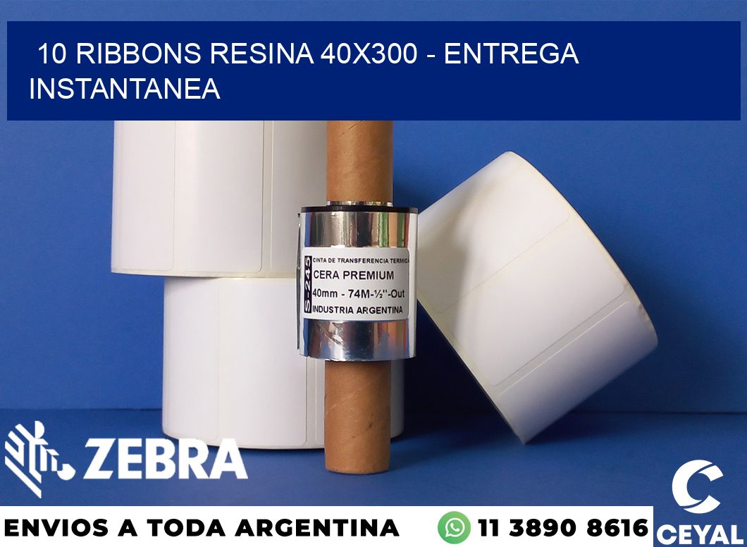 10 Ribbons resina 40x300 - entrega instantanea