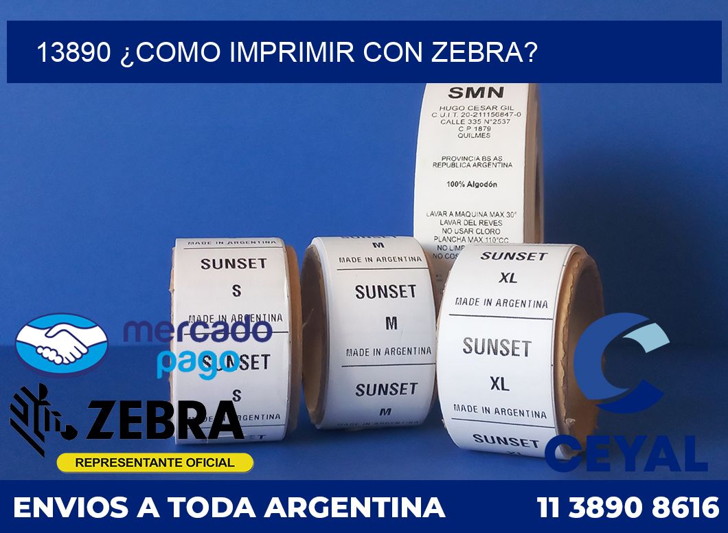 13890 ¿COMO IMPRIMIR CON ZEBRA?