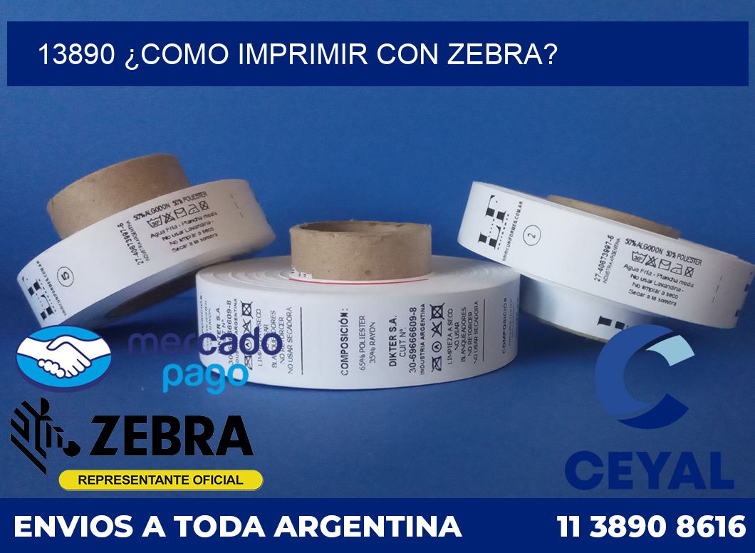 13890 ¿COMO IMPRIMIR CON ZEBRA?