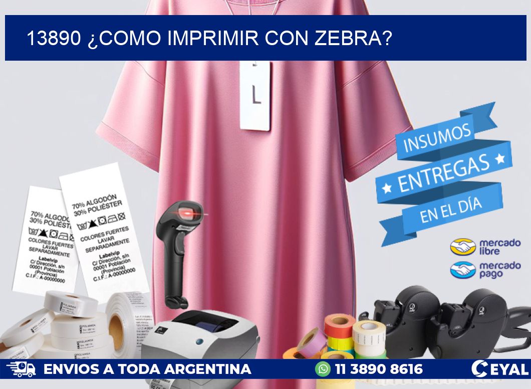 13890 ¿COMO IMPRIMIR CON ZEBRA?