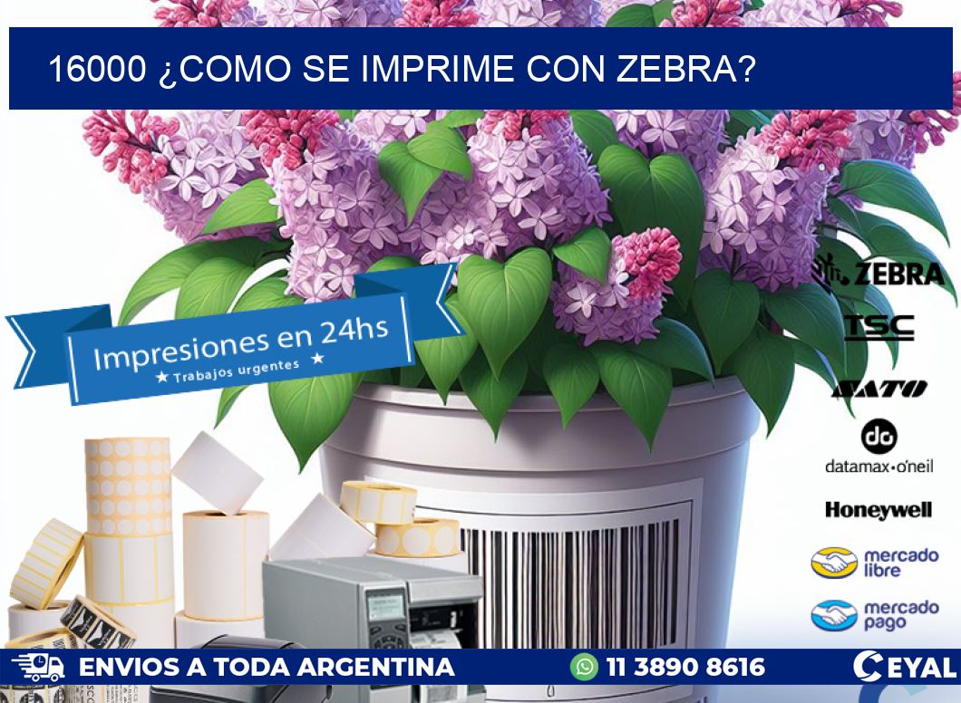 16000 ¿COMO SE IMPRIME CON ZEBRA?