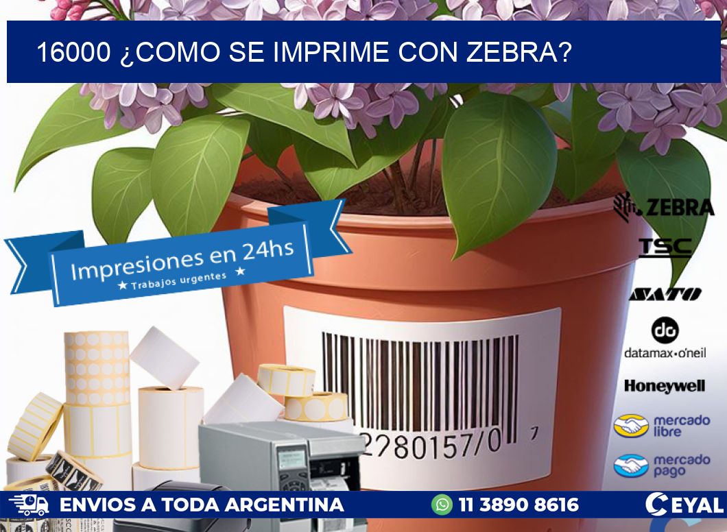 16000 ¿COMO SE IMPRIME CON ZEBRA?