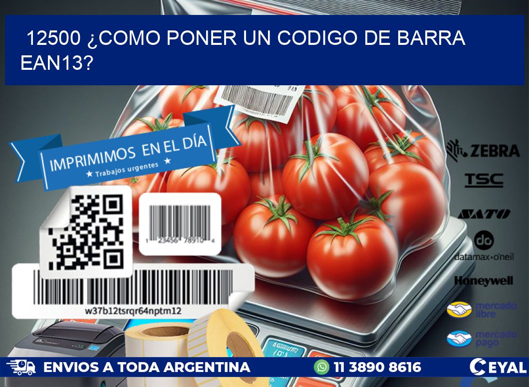 12500 ¿COMO PONER UN CODIGO DE BARRA  EAN13?