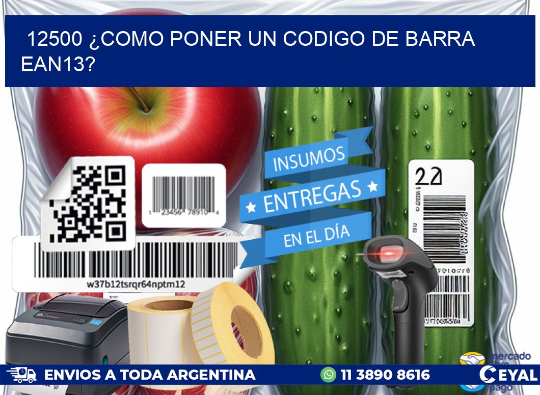 12500 ¿COMO PONER UN CODIGO DE BARRA  EAN13?