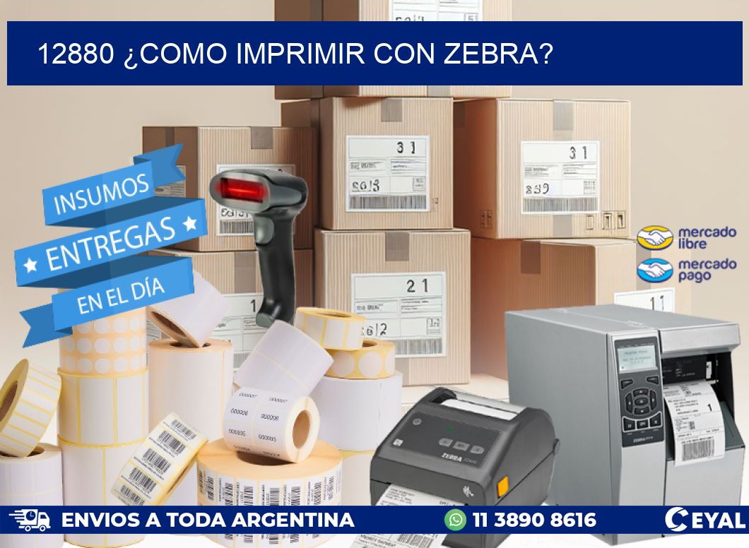 12880 ¿COMO IMPRIMIR CON ZEBRA?