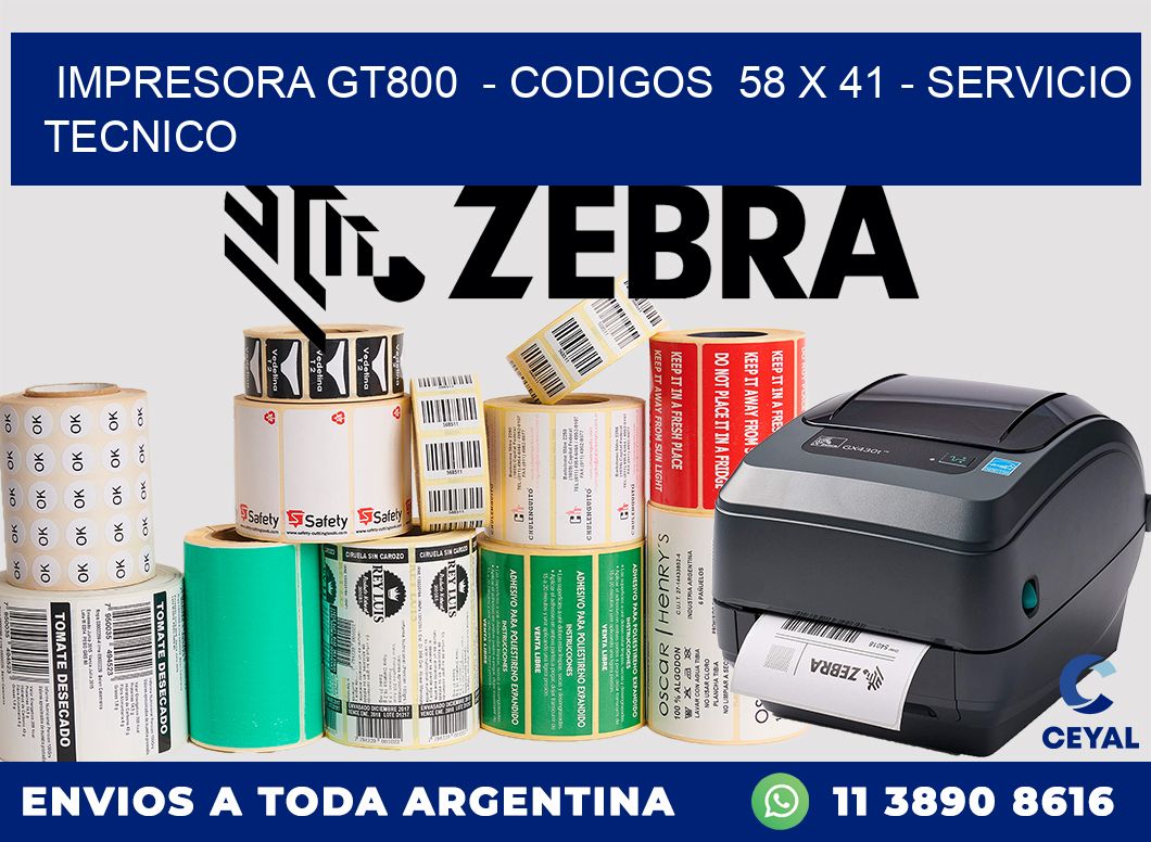 IMPRESORA GT800  - CODIGOS  58 x 41 - SERVICIO TECNICO