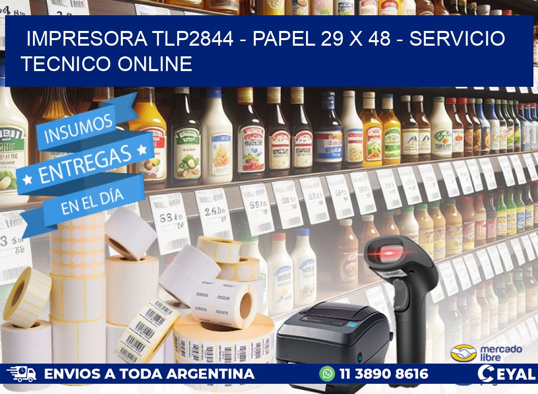 IMPRESORA TLP2844 - PAPEL 29 x 48 - SERVICIO TECNICO ONLINE