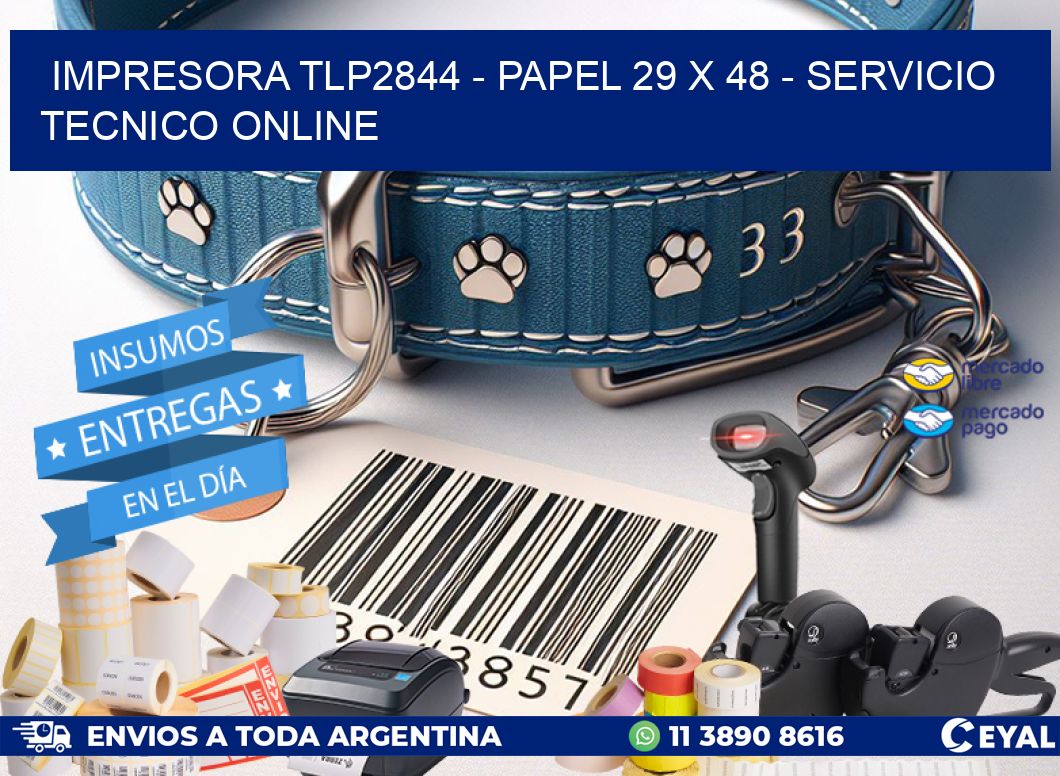 IMPRESORA TLP2844 - PAPEL 29 x 48 - SERVICIO TECNICO ONLINE