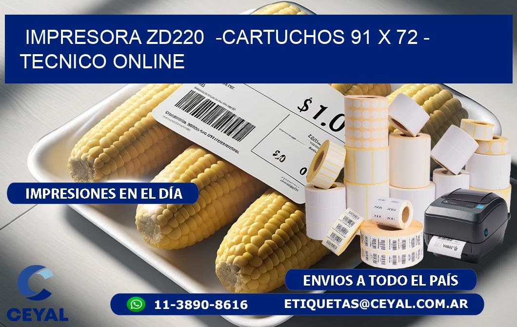 IMPRESORA ZD220  -CARTUCHOS 91 x 72 - TECNICO ONLINE