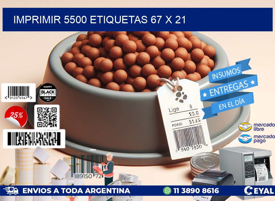 IMPRIMIR 5500 ETIQUETAS 67 x 21