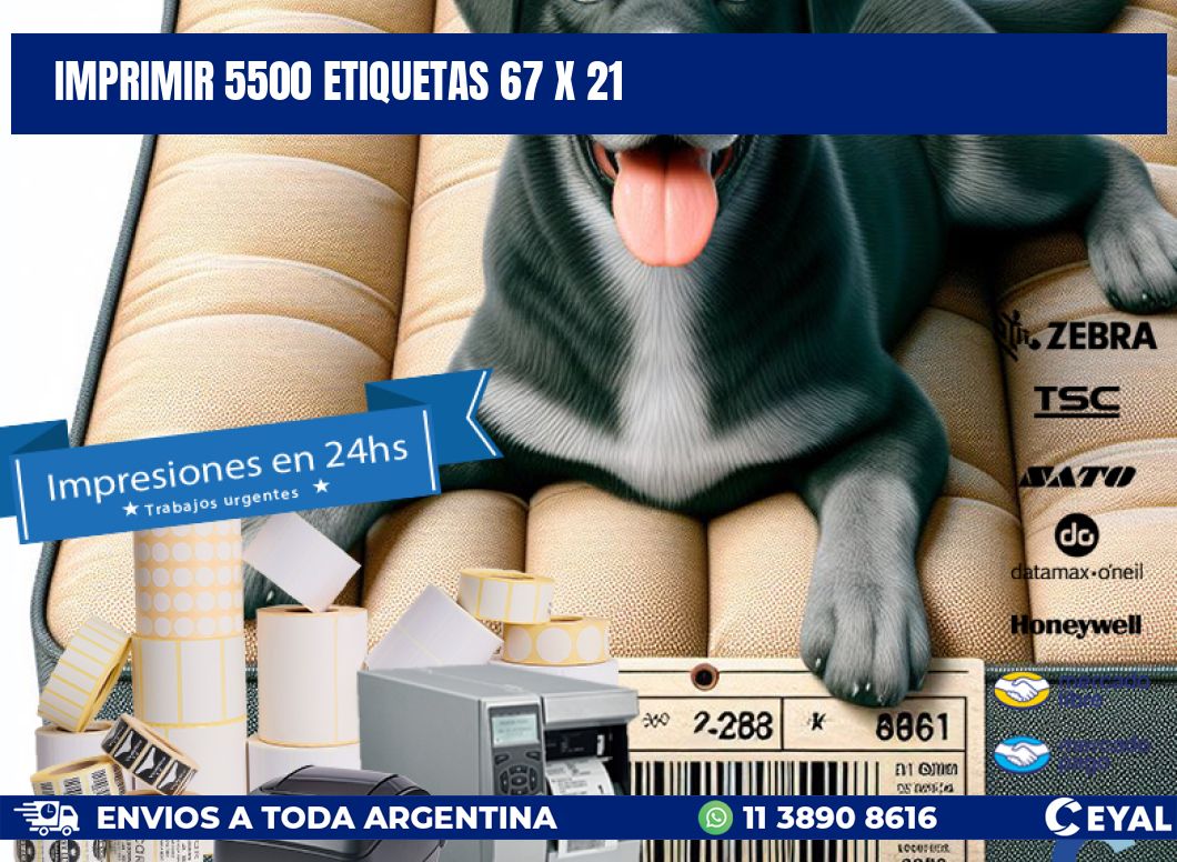 IMPRIMIR 5500 ETIQUETAS 67 x 21