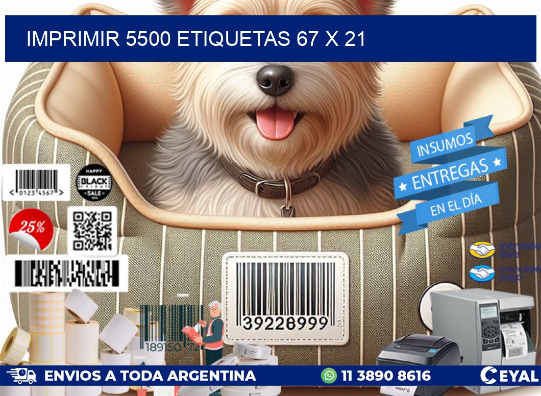 IMPRIMIR 5500 ETIQUETAS 67 x 21