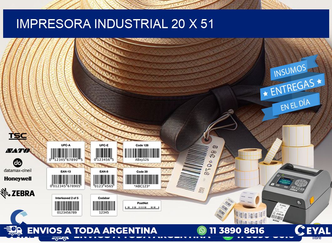 impresora industrial 20 x 51