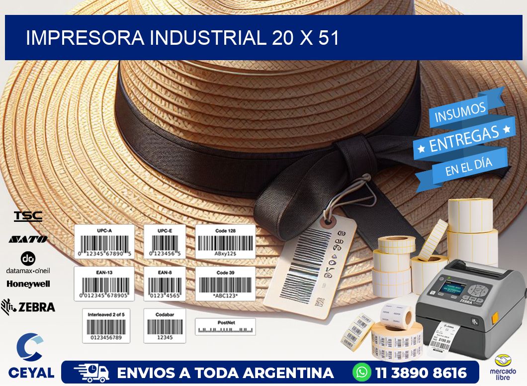 impresora industrial 20 x 51