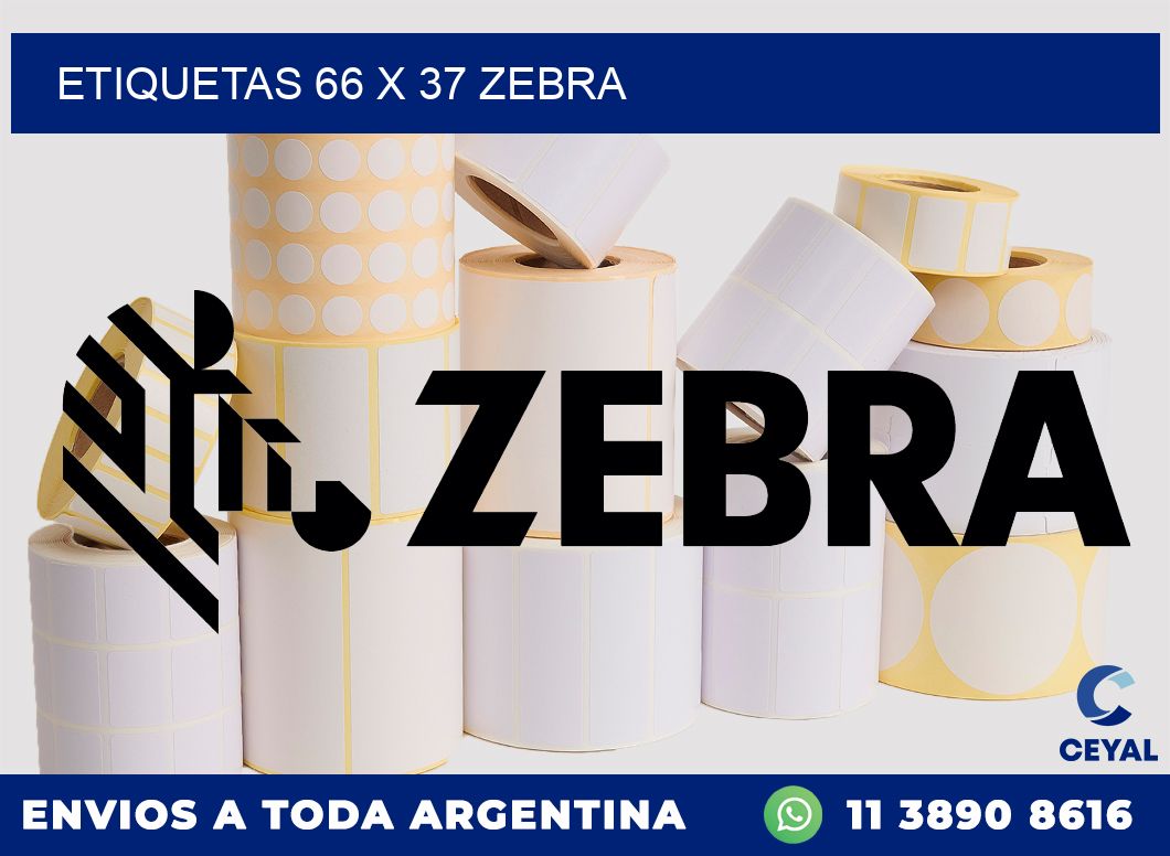 ETIQUETAS 66 x 37 ZEBRA