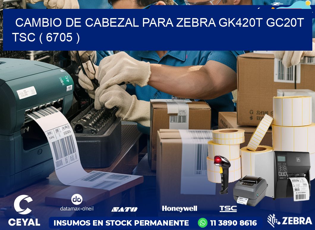 CAMBIO DE CABEZAL PARA ZEBRA GK420T GC20T TSC ( 6705 )