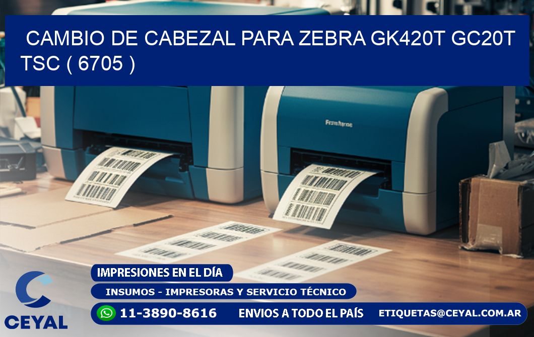 CAMBIO DE CABEZAL PARA ZEBRA GK420T GC20T TSC ( 6705 )