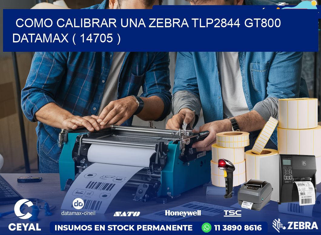 COMO CALIBRAR UNA ZEBRA TLP2844 GT800 DATAMAX ( 14705 )