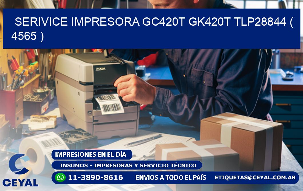 SERIVICE IMPRESORA GC420T GK420T TLP28844 ( 4565 )