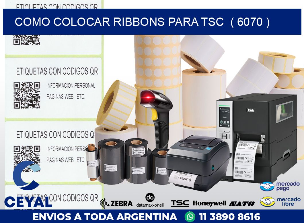 COMO COLOCAR RIBBONS PARA TSC  ( 6070 )