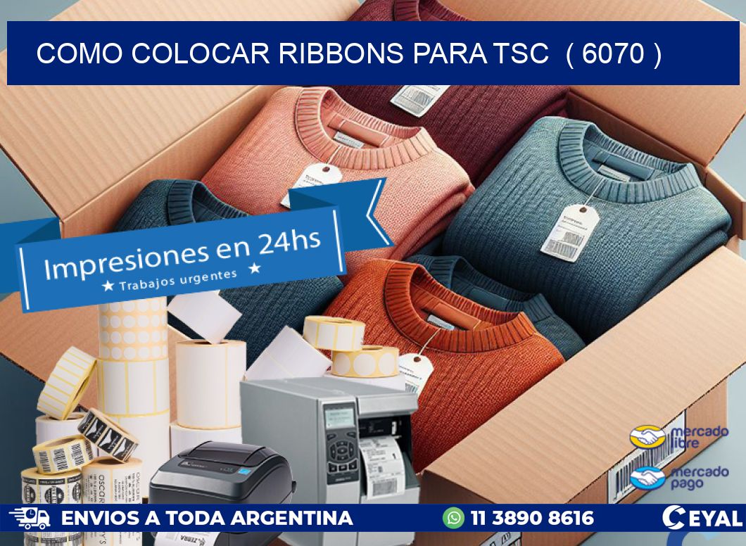 COMO COLOCAR RIBBONS PARA TSC  ( 6070 )