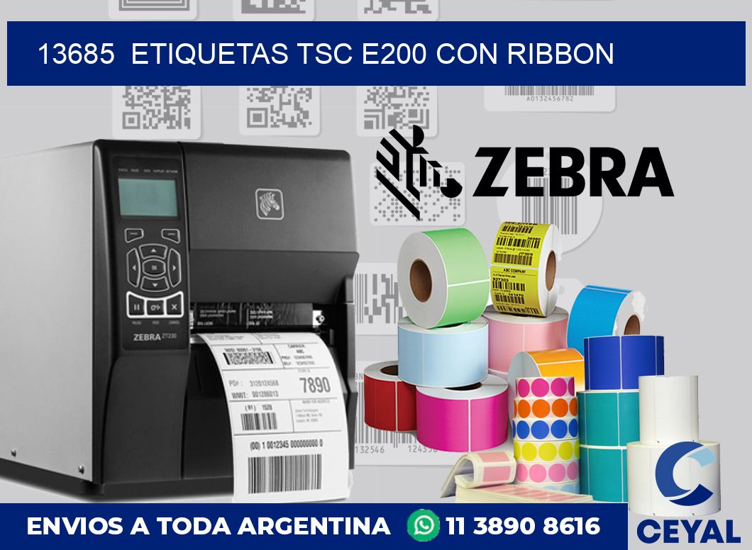 13685  ETIQUETAS TSC E200 CON RIBBON