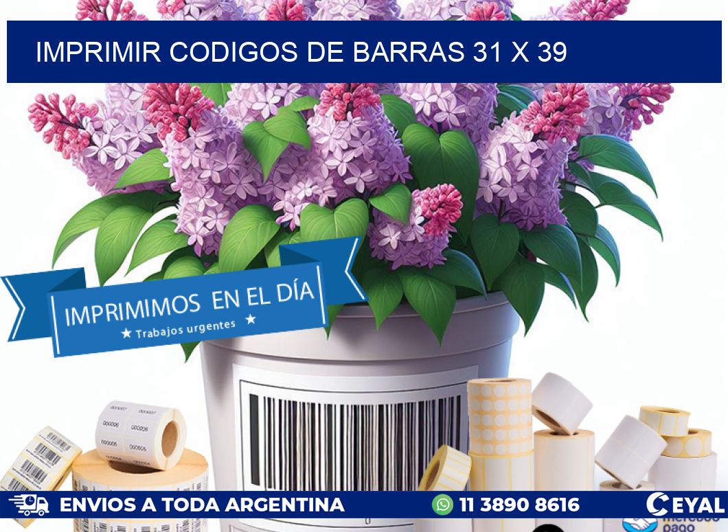 IMPRIMIR CODIGOS DE BARRAS 31 x 39