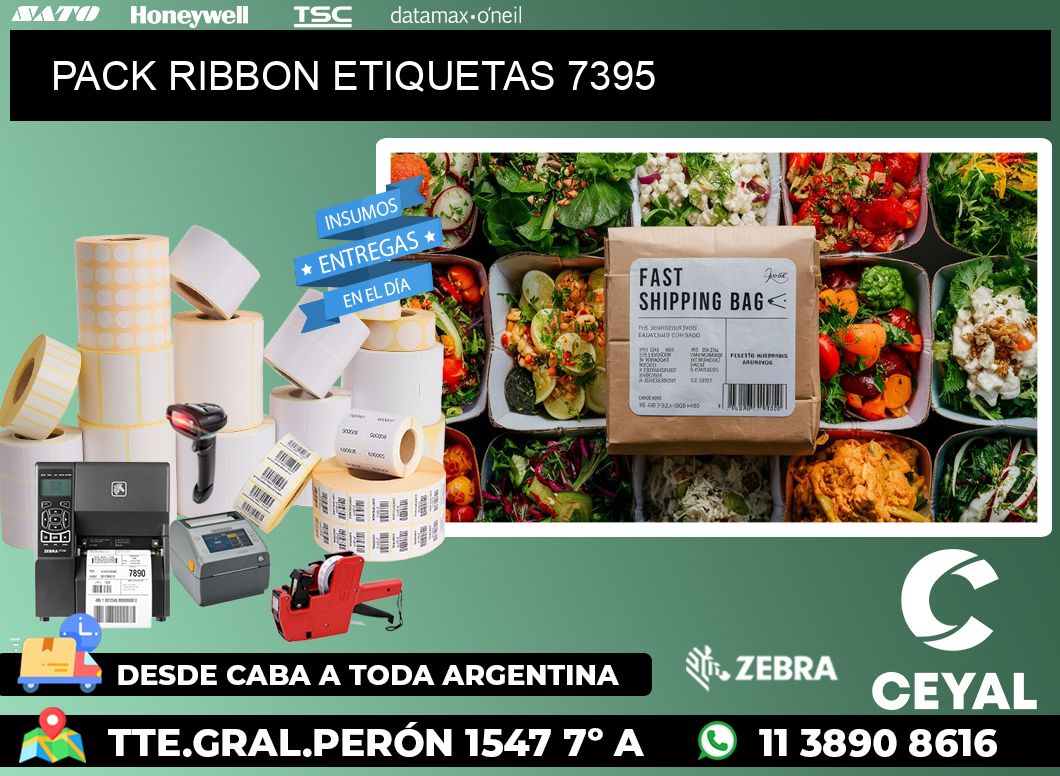 PACK RIBBON ETIQUETAS 7395