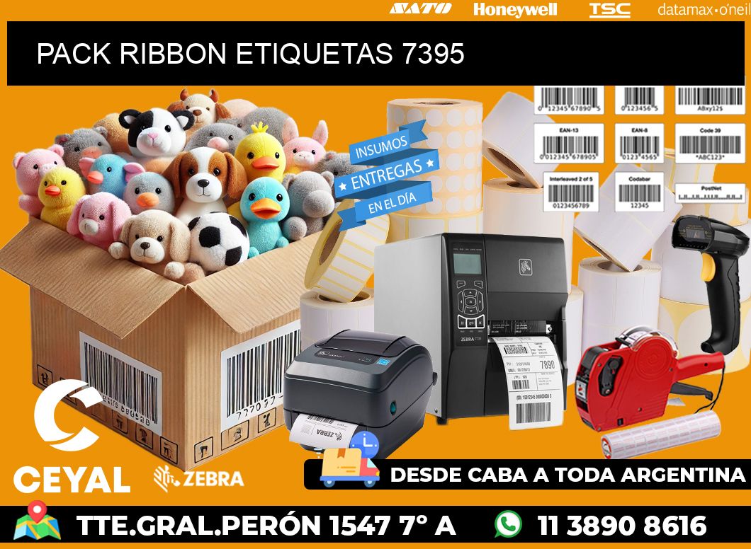 PACK RIBBON ETIQUETAS 7395