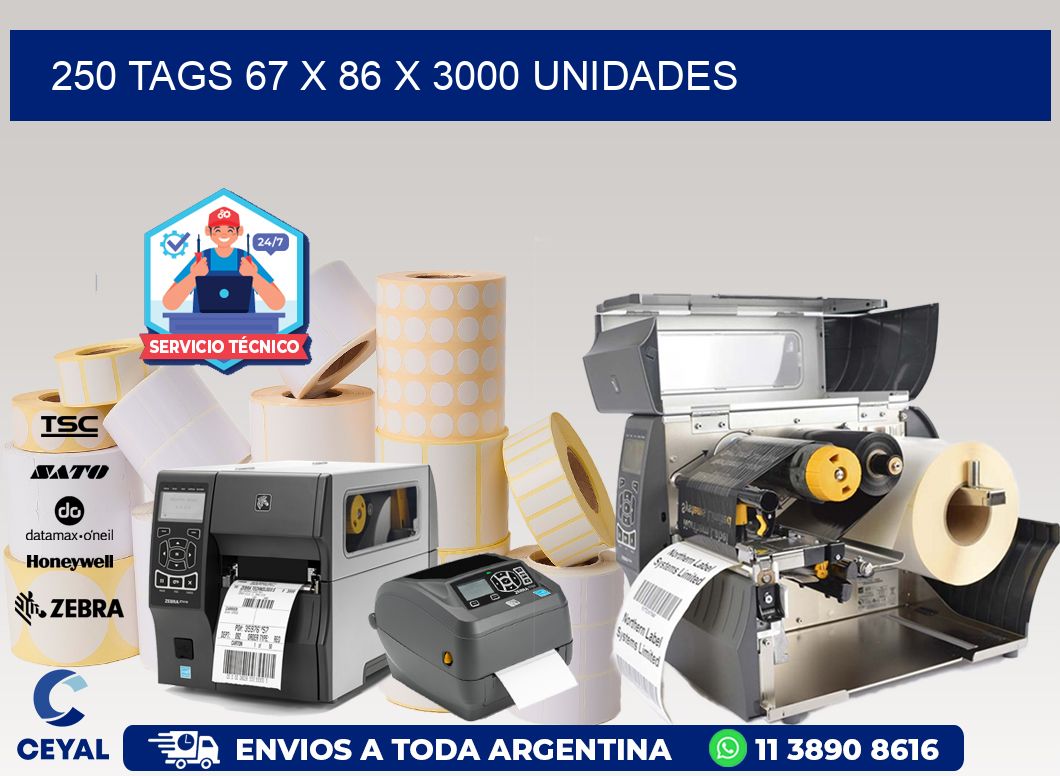 250 TAGS 67 x 86 X 3000 UNIDADES