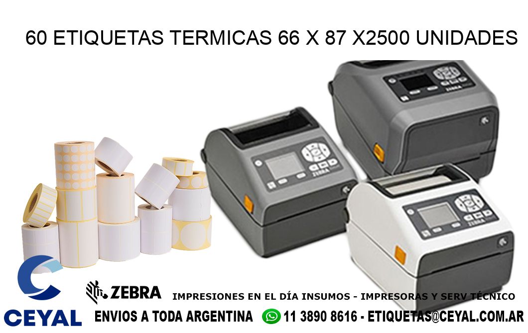 60 ETIQUETAS TERMICAS 66 x 87 X2500 UNIDADES