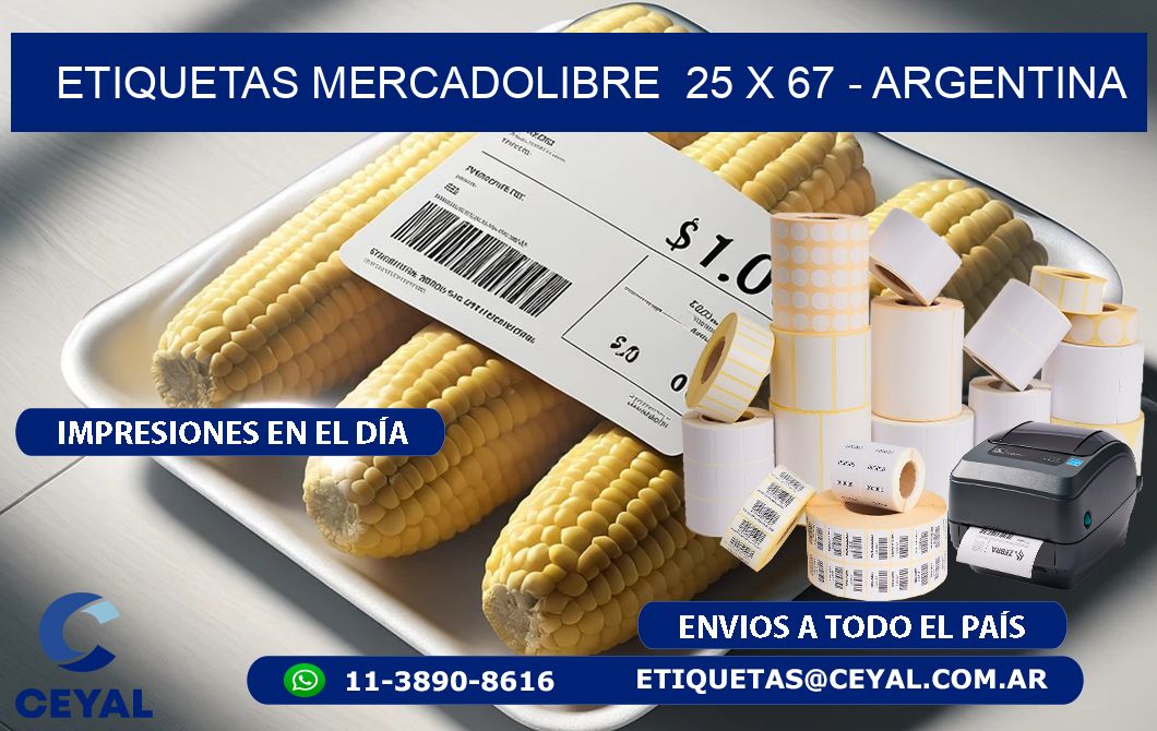 ETIQUETAS MERCADOLIBRE  25 x 67 - ARGENTINA